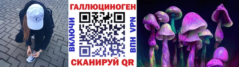 Купить закладки  Кремёнки  Галлюциногенные грибы Psilocybe 